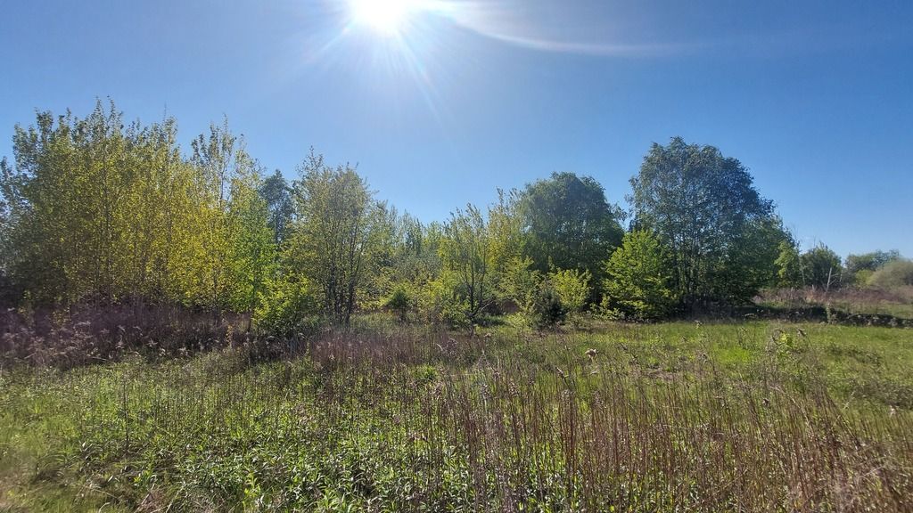 Działka  pokojowe na Wynajem