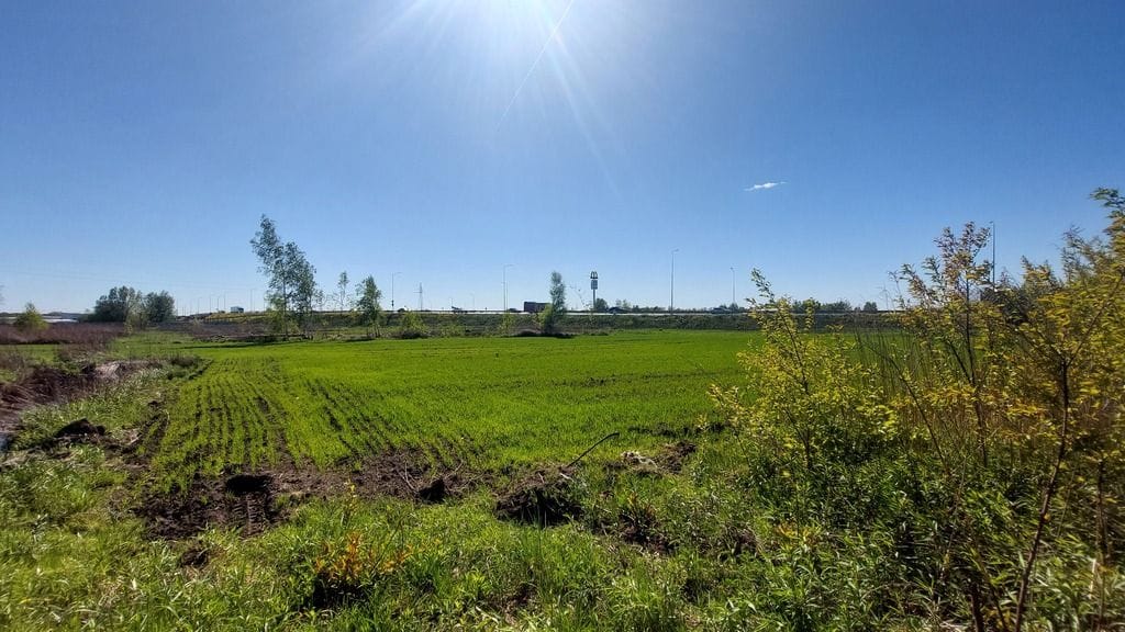 Działka  pokojowe na Wynajem