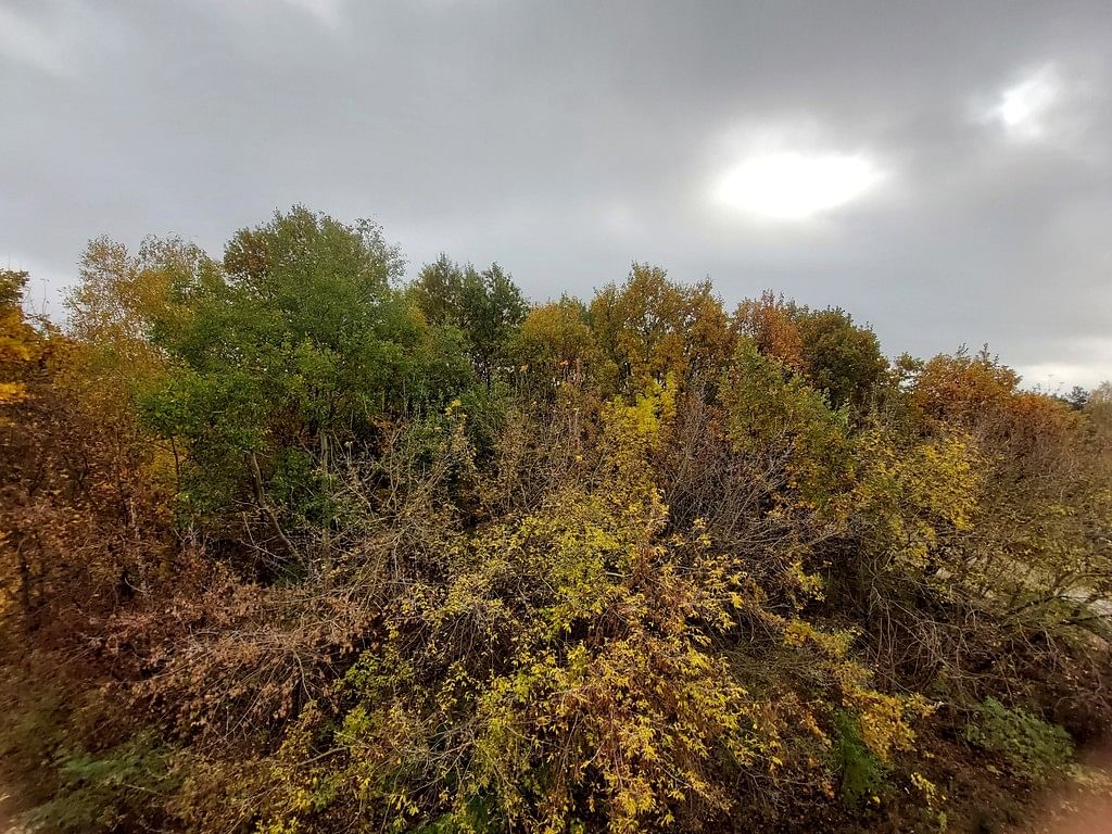 Mieszkanie 2 pokojowe na Wynajem