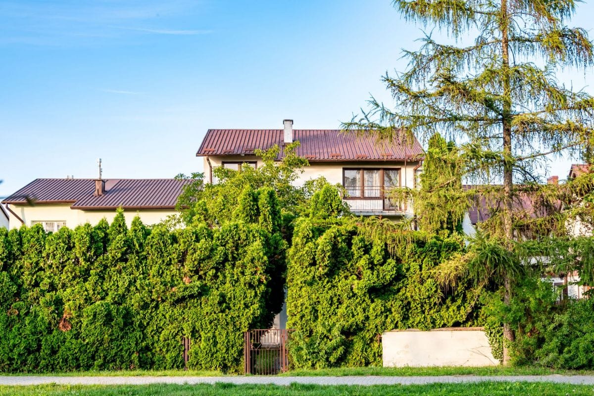 Dom 14 pokojowe na Sprzedaż