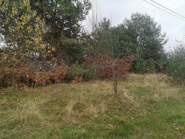 Działka  pokojowe na Sprzedaż