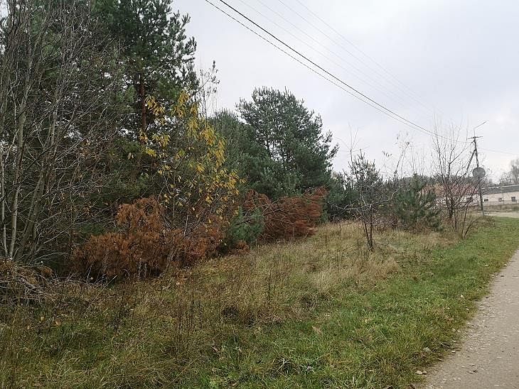 Działka  pokojowe na Sprzedaż