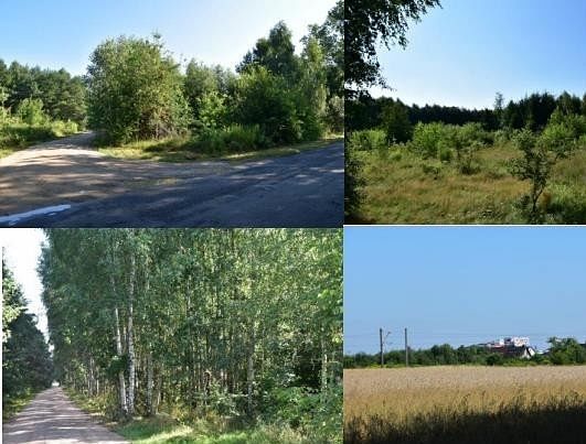 Działka  pokojowe na Sprzedaż