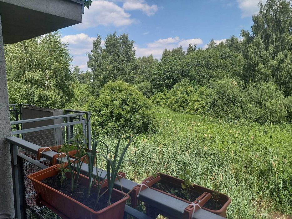 Mieszkanie 1 pokojowe na Sprzedaż