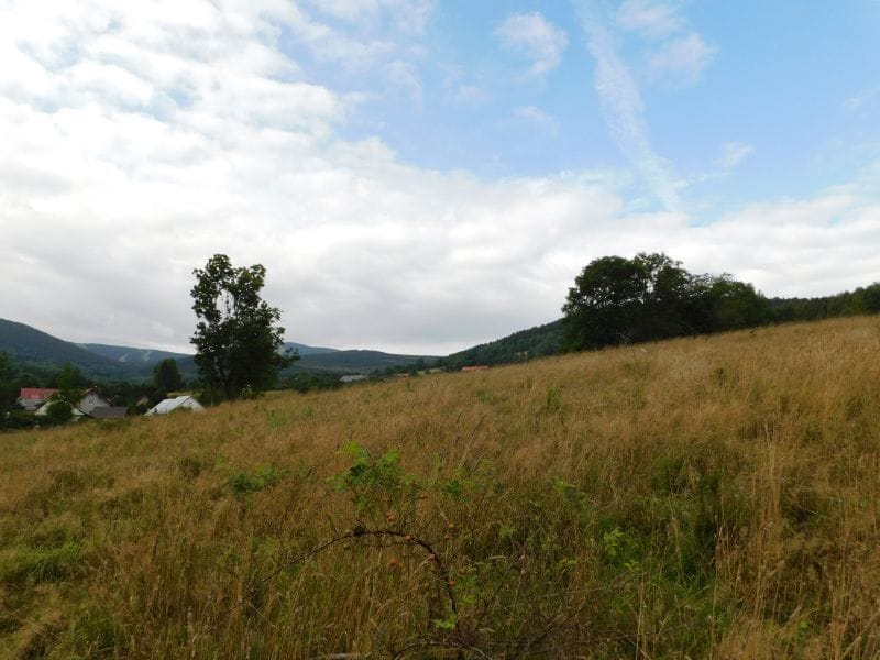 Działka  pokojowe na Sprzedaż