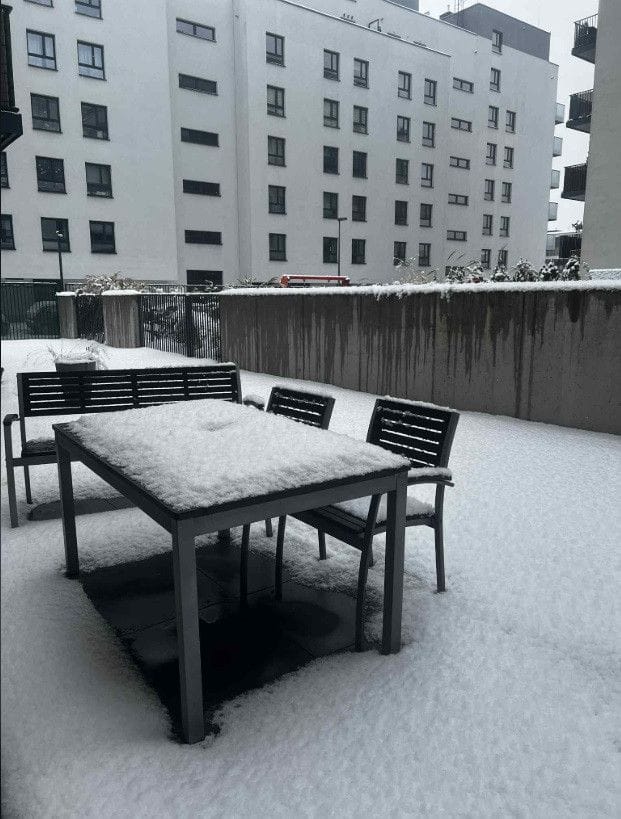 Mieszkanie 3 pokojowe na Wynajem