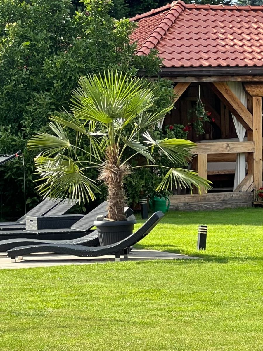 Dom 5 pokojowe na Sprzedaż