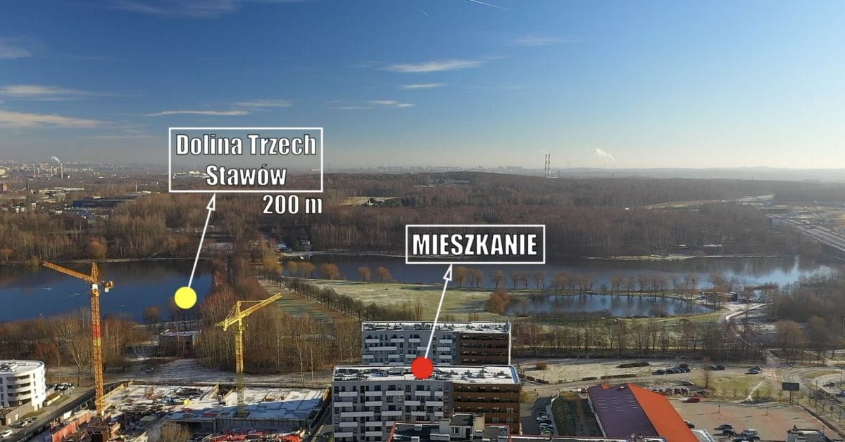 Mieszkanie 2 pokojowe na Wynajem