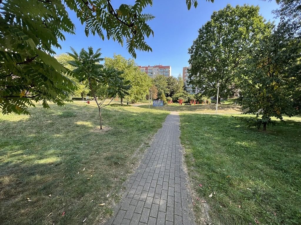 Mieszkanie 3 pokojowe na Wynajem