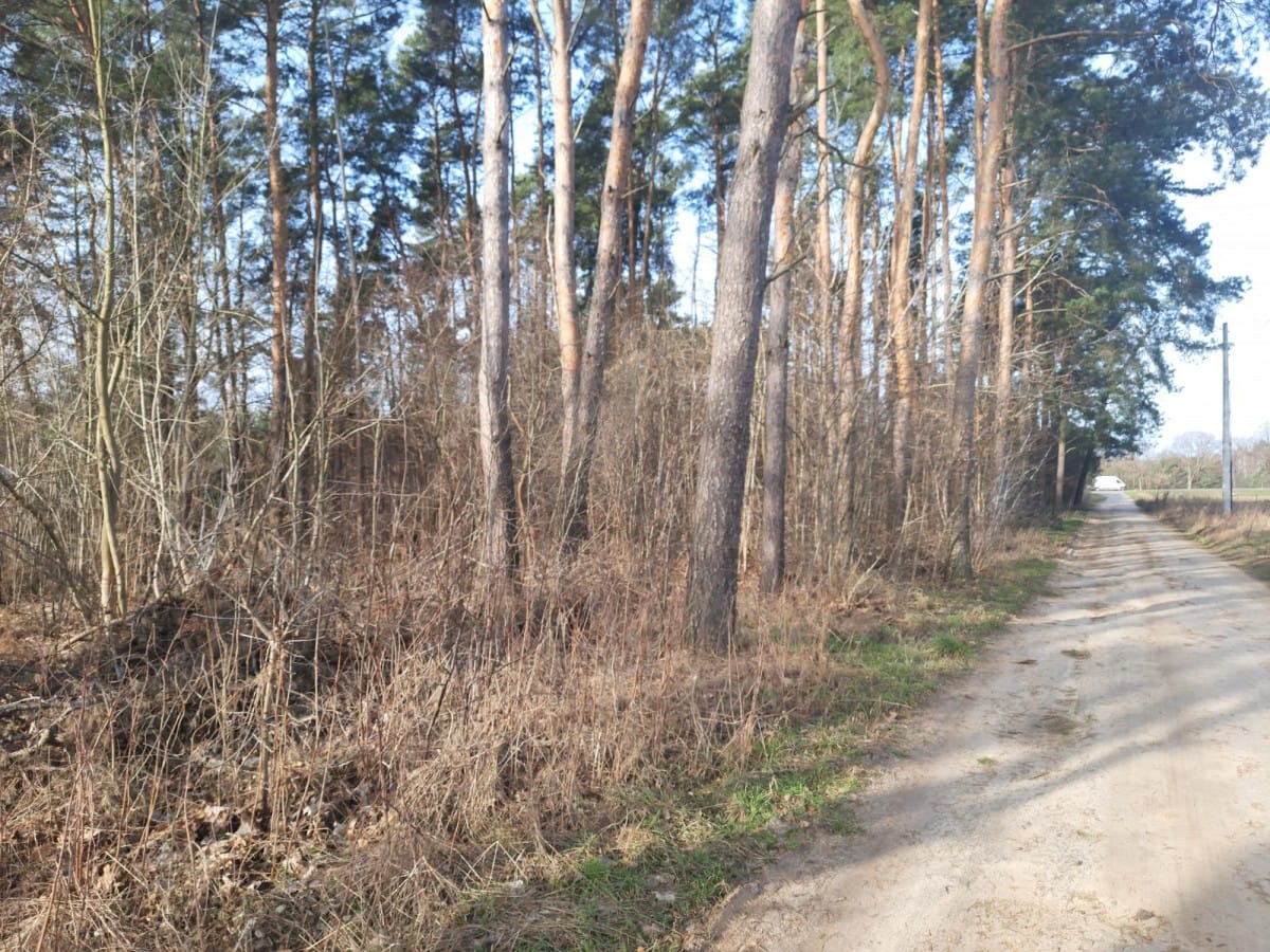 Działka  pokojowe na Sprzedaż
