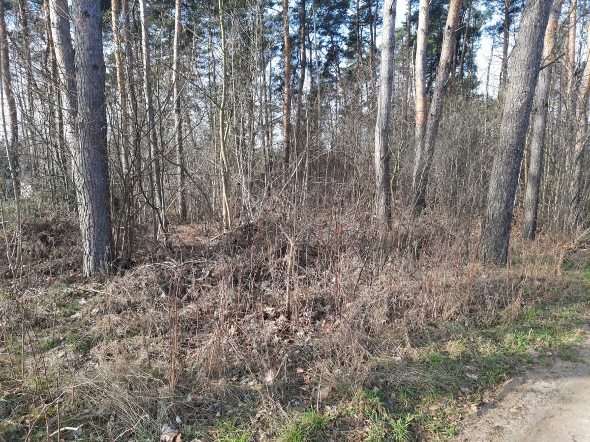 Działka  pokojowe na Sprzedaż