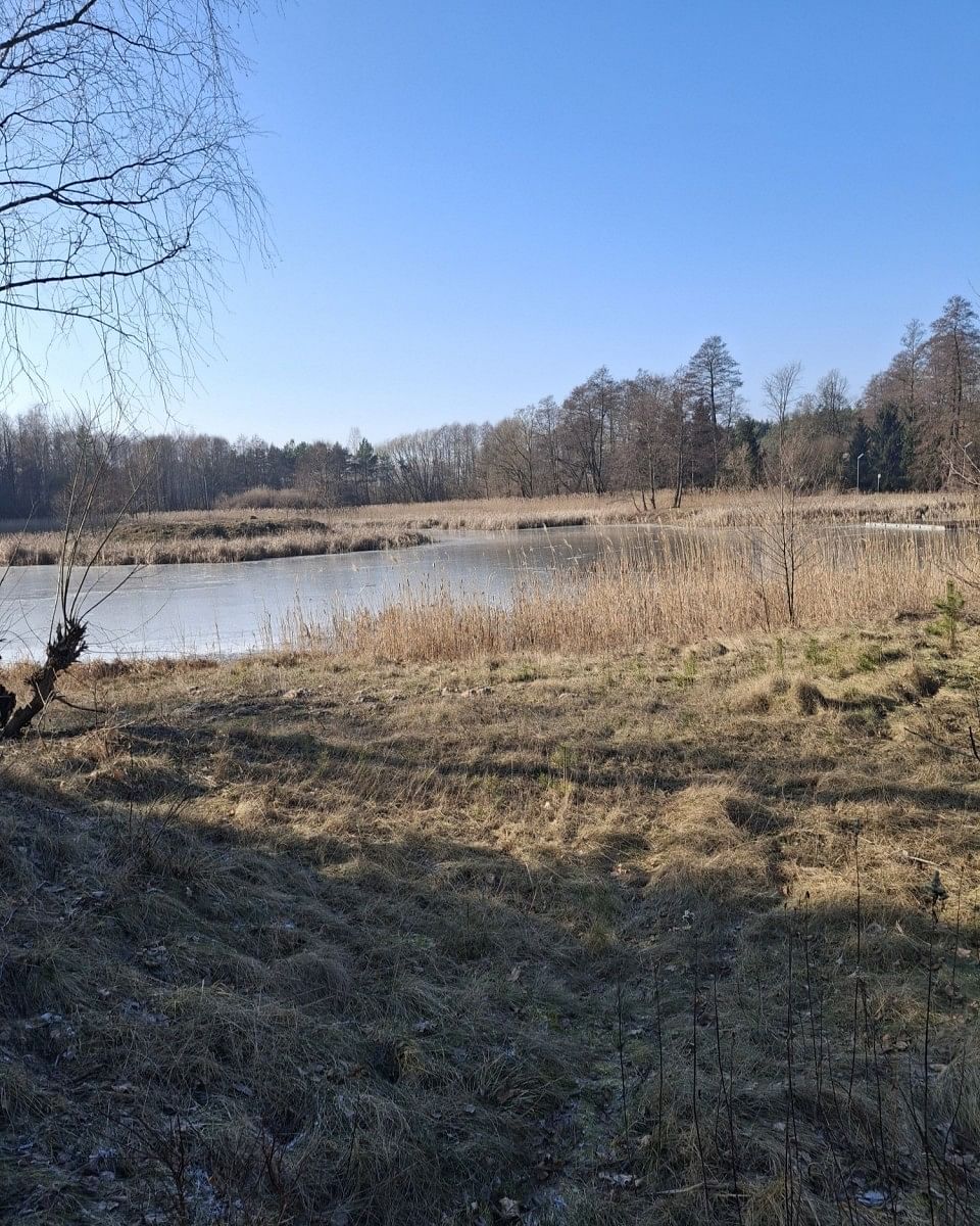 Lokal użytkowy  pokojowe na Sprzedaż