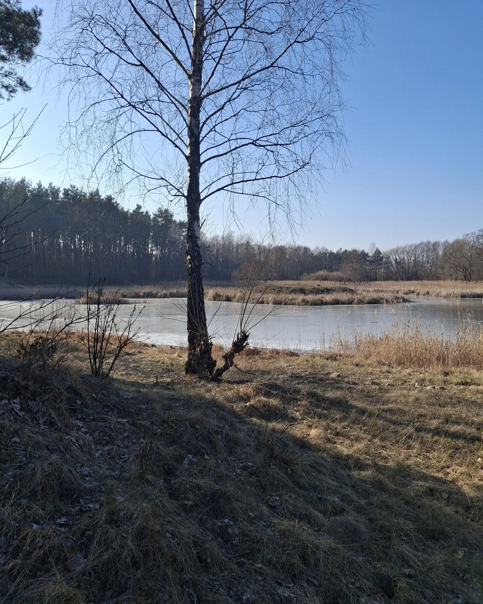 Lokal użytkowy  pokojowe na Sprzedaż