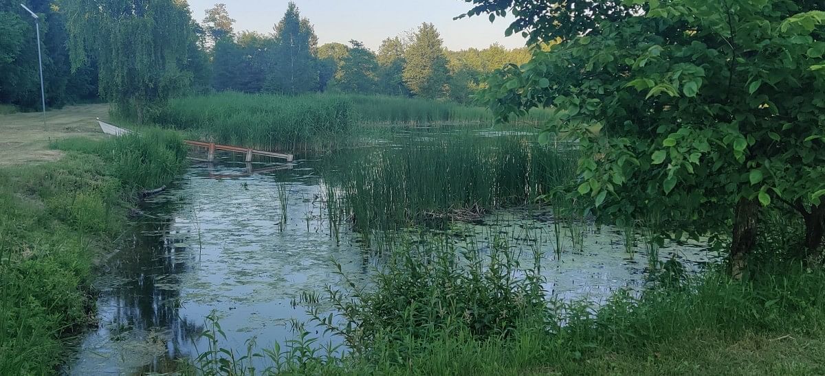 Lokal użytkowy  pokojowe na Sprzedaż