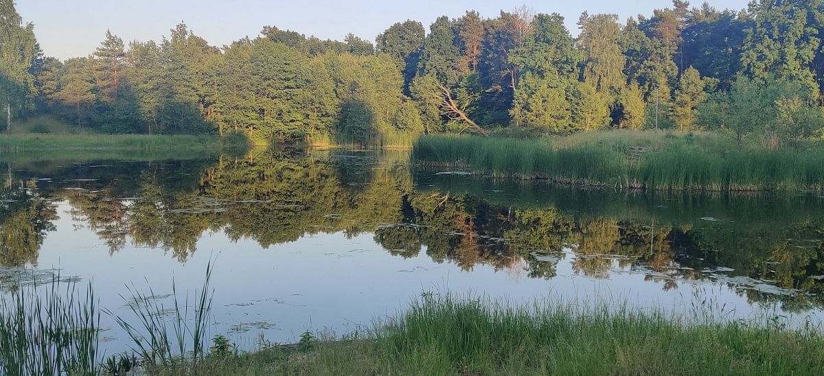 Lokal użytkowy  pokojowe na Sprzedaż