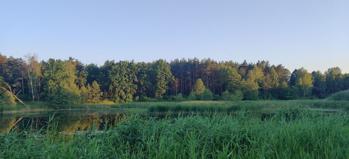 Lokal użytkowy  pokojowe na Sprzedaż