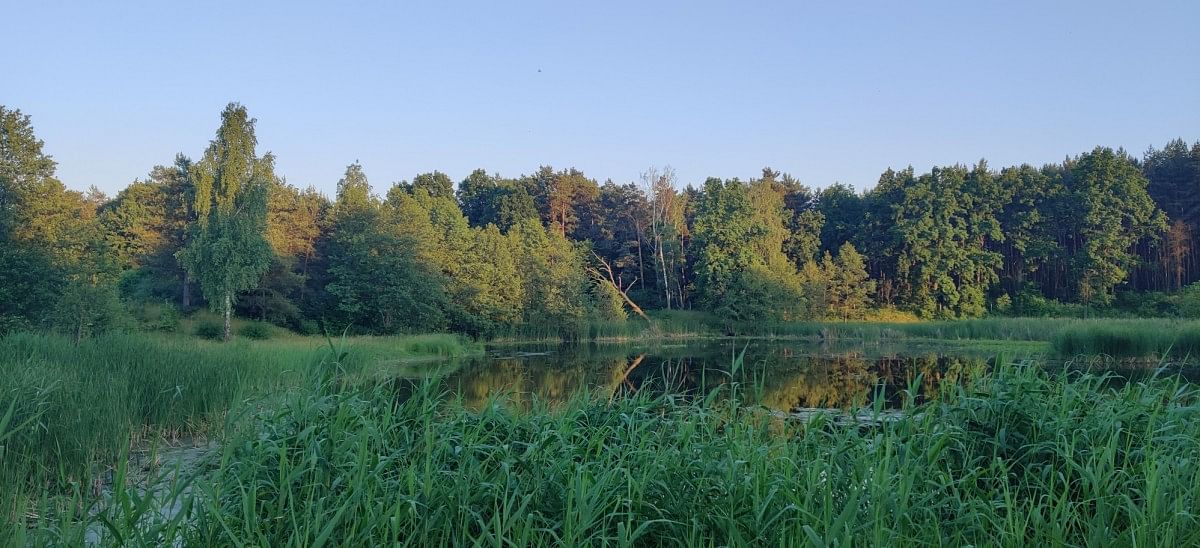 Lokal użytkowy  pokojowe na Sprzedaż