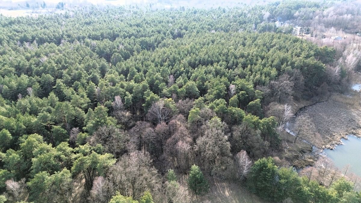 Działka  pokojowe na Sprzedaż