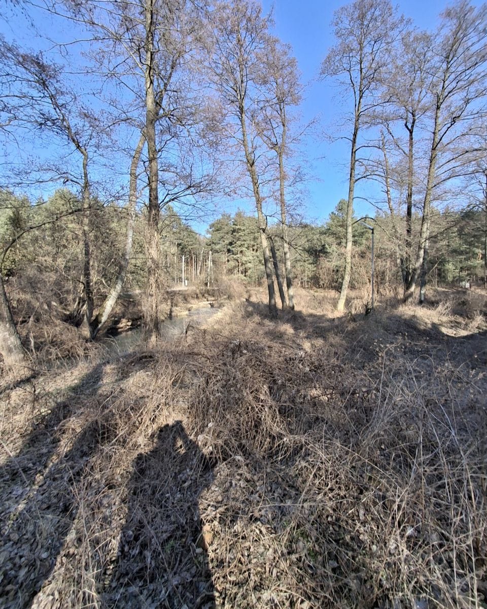 Lokal użytkowy  pokojowe na Sprzedaż
