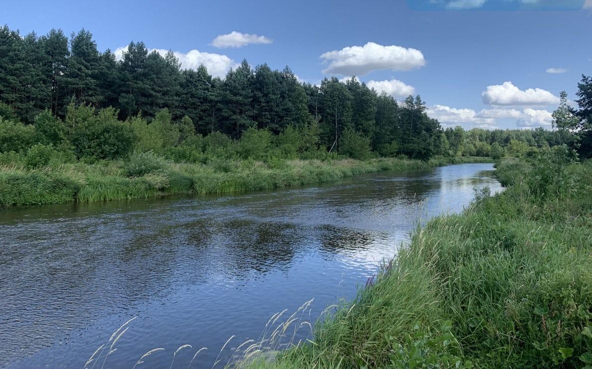 Dom 3 pokojowe na Sprzedaż