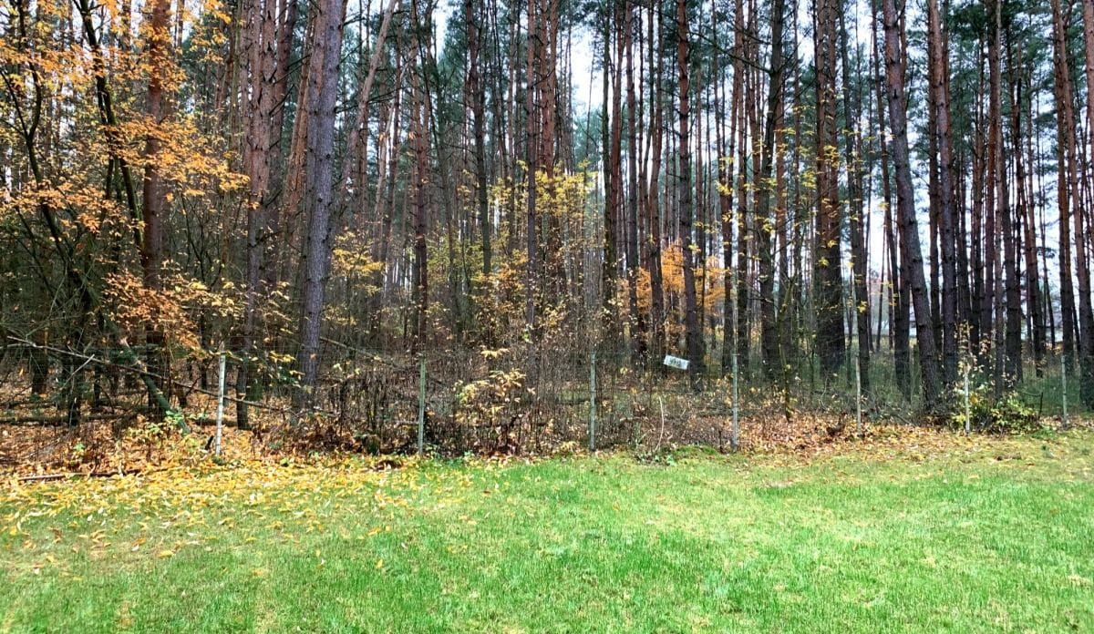 Dom 3 pokojowe na Sprzedaż