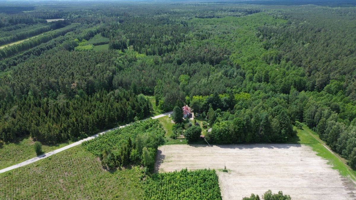 Dom 6 pokojowe na Sprzedaż