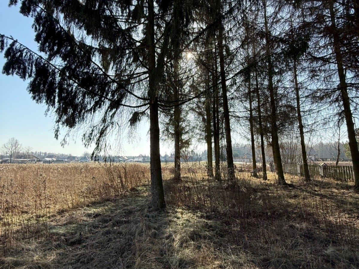 Działka  pokojowe na Sprzedaż