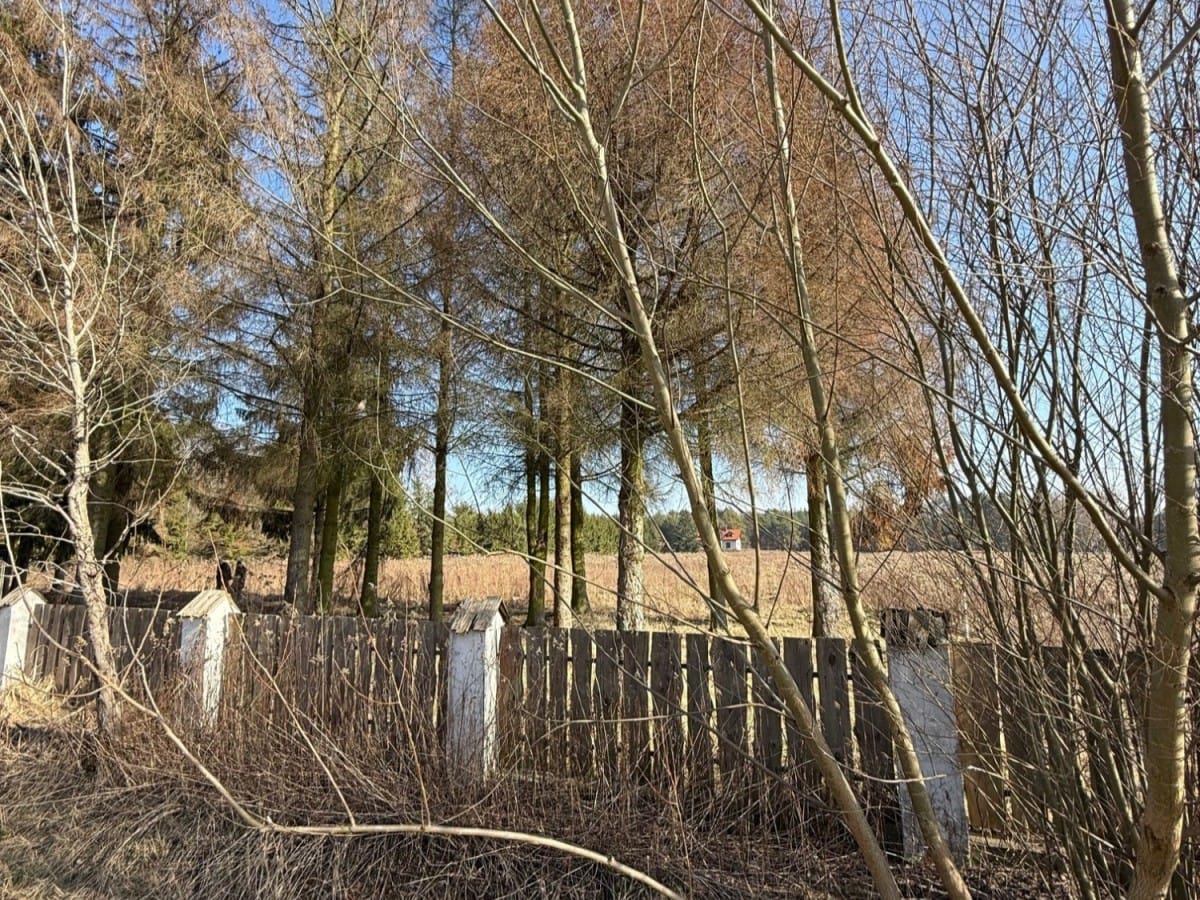 Działka  pokojowe na Sprzedaż